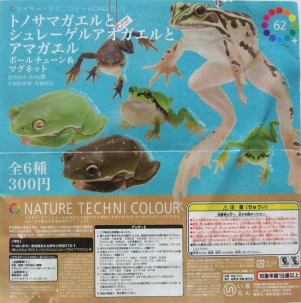 画像1: ネイチャーテクニカラーMONOPLUS　トノサマガエルとシュレーゲルアオガエルとアマガエル　ボールチェーン＆マグネット (1)