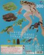 画像2: ネイチャーテクニカラーMONOPLUS　トノサマガエルとシュレーゲルアオガエルとアマガエル　ボールチェーン＆マグネット (2)